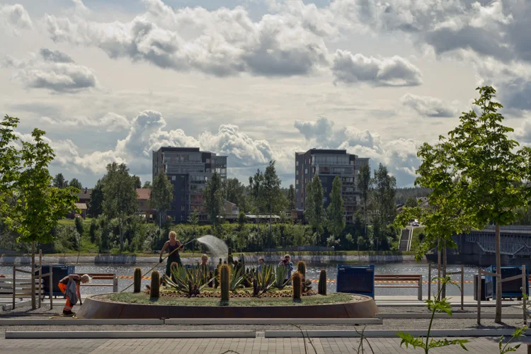 Skellefteå – Alvsbrinken skelleftea